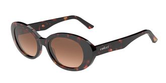 Colcci Bella C0267F0134 Womens Sunglasses Tortoiseshell Size 53