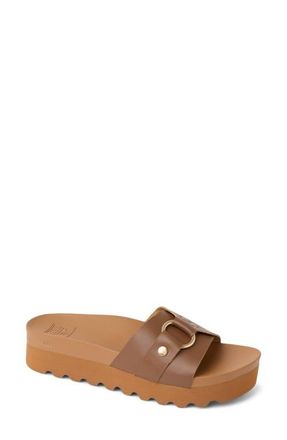 Reef Vista Sadie Platform Sandal in Chocolate at Nordstrom, Size 10