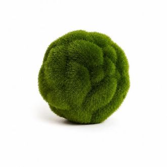 Napa Home & Garden Mood Moss Orb 11.5 in Green at Nordstrom