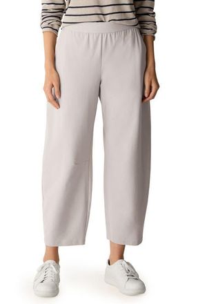 Eileen Fisher High Waist Ankle Pants in Dove at Nordstrom, Size Xx-Small