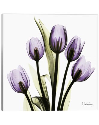 iCanvas Discontinued Icanvas Tulips Imagine By Albert Koetsier Wall Art