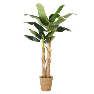 Maisons du monde Banano artificial con maceta