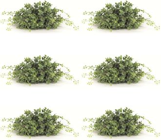 Melrose International Spring Boxwood Foliage Half Orb (Set of 6) - Green, White