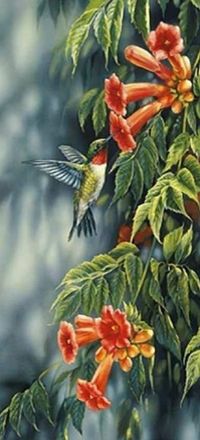 OEM Bordado De Diamantes Con Un Hermoso Colibr&iacute;, 55x115