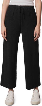 Splendid Sweatersoft Pants in Black at Nordstrom, Size X-Large