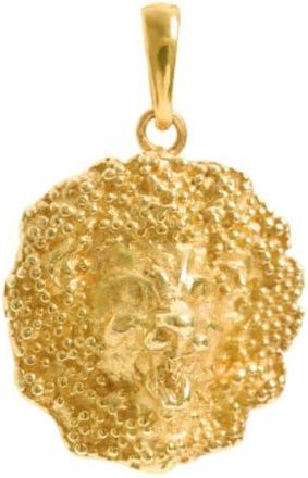 Freya Rose Lion Pendant in Gold at Nordstrom