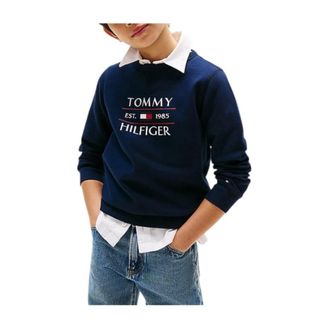 Tommy Hilfiger Kids Sweatshirts, male, Blue, 6 Y, Flag Sweatshirt