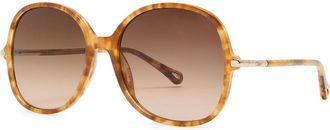 Chlo&eacute; Round-frame Sunglasses - Brown Havana - One Size