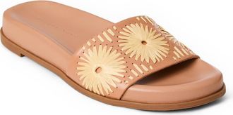 Jack Rogers Somerset Embroidered Slide Sandal in Caf Au Lait/Natural at Nordstrom, Size 5.5