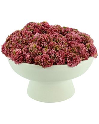 Creative Displays Inc. Pink Sedum Arrangement In Ceramic Pedestal Vase
