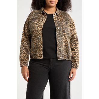 Daniel Rainn Leopard Print Oversize Trucker Jacket in Dark Tan at Nordstrom Rack, Size 2X
