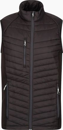 Regatta Mens Regatta Professional Mens Quilted Hybrid Gilet - Black - Size: 40/Regular