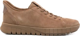 Geox Flextride Plus sneakers - Brown