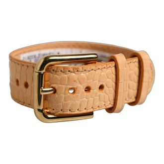 Dolce & Gabbana Heren, Accessoires, Beige, Maat: ONE Size Leer