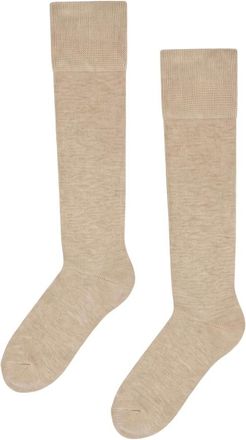 Wolford Mujer, Ropa interior, Beige, Talla: S