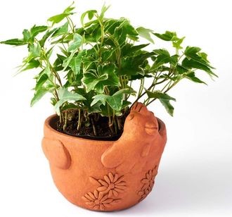 Matr Boomie Rakshana Plant Pot in Chicken at Nordstrom