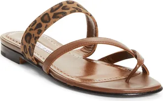 Manolo Blahnik Susa Crossover Sandal in Dark Brown/leopard Print at Nordstrom, Size 40.5