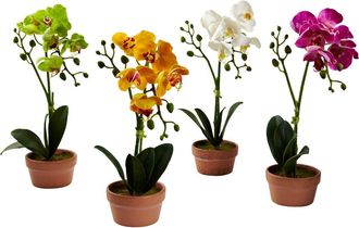 Nearly Natural Phalaenopsis Orchid with Clay Vase in Assorted at Nordstrom