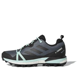 adidas (WMNS) adidas Terrex Skychaser LT GTX Ash Grey Mint F36120