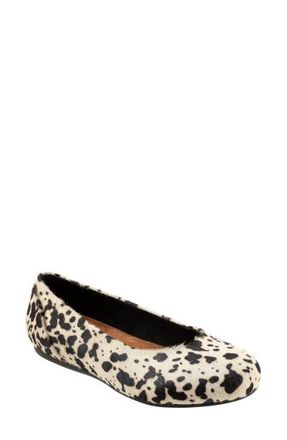 Softwalk Sonoma Genuine Calf Hair Flat in Black/White Pony at Nordstrom, Size 10.5