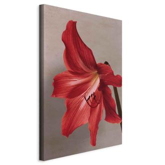 OEM Cuadro - Flor Roja (1 Pieza) Vertical