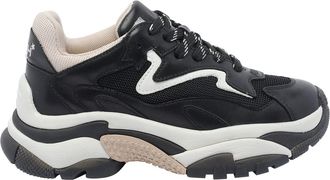 Ash Addict Sneakers