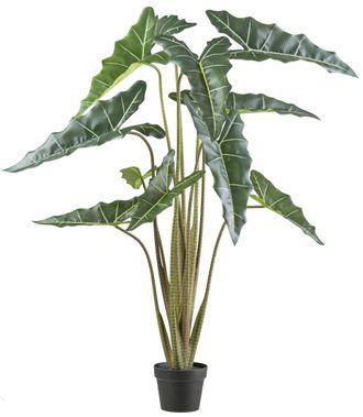 Schubiger M&ouml;bel Kunstpflanze Alocasia