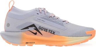 Nike Sneakers Pegasus Trail 5 - Grigio