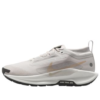 Nike (WMNS) Nike Pegasus Trail 5 Gore-Tex Vast Grey FQ0912-008