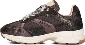 Shabbies Amsterdam Celia Race Slangenprint Sneakers - Dames - Sneakers - Bruin - 39 EU - Wol - Schoenen