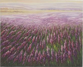 Hhg Hhg - Nunca Usado] Pintura Al &Oacute;leo Campo De Flores, 100% Pintado A Mano Pintura Mural Xl, 100x80cm