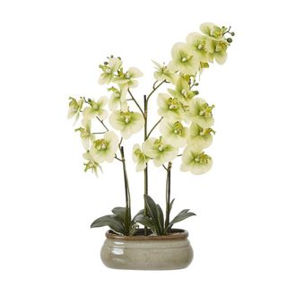 Hill Interiors Ceramic Orchid Artificial Potted Plant in Green
