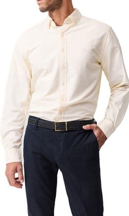 Rodd & Gunn Cambridge Original Fit Button-Down Oxford Shirt in Lemon at Nordstrom, Size Xxx-Large