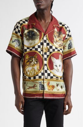 Dolce & Gabbana Cat Print Silk Camp Shirt in Gatti at Nordstrom, Size 40