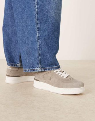 Polo Ralph Lauren Masters Court - Sneakers grigie in pelle scamosciata-Grigio