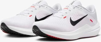 Nike Winflo 10 DV4022-100 Sneakers White Light Running Shoes DWA3116