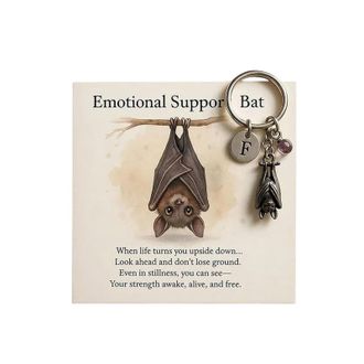 Generic Emotional Support Bat Inspirational Keychain, Metal Bat Pendant with Motivational Verse Card, With Spiritual Comfort, Anxiety Relief, for Friends, Fam