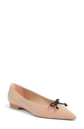 Stuart Weitzman Landon Pointed Toe Ballet Flat in Adobe/blk at Nordstrom Rack, Size 8.5