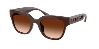 Coach HC8460U CFT88 595774 Womens Sunglasses Brown Size 51