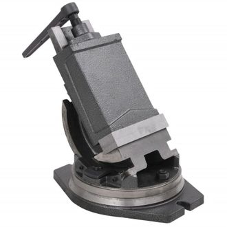 vidaXL Vidaxl - Tornillo De Banco Basculante De 2 Ejes 160 Mm