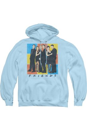 Gildan Friends Color Block Of Friends Adult Pull Over Hoodie / Hooded Sweatshirt
