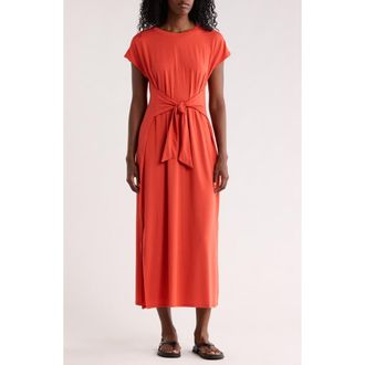 Eileen Fisher Crewneck Maxi Dress in Tmrlo at Nordstrom Rack, Size Xx-Small