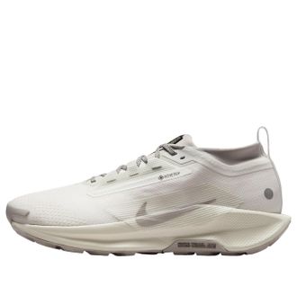 Nike Pegasus Trail 5 Gore-Tex Summit White Cave Stone HQ7494-100