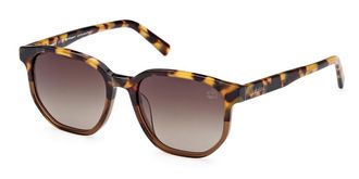 Timberland TB9305-H Polarized 53H Mens Sunglasses Tortoiseshell Size 54