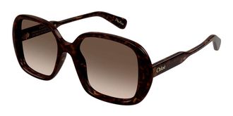 Chloé CH0222S 002 Womens Sunglasses Tortoiseshell Size 55