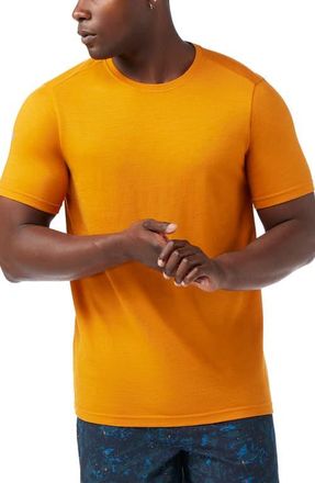Smartwool Merino Wool Blend Short Sleeve T-Shirt in Marmalade at Nordstrom, Size Xx-Large