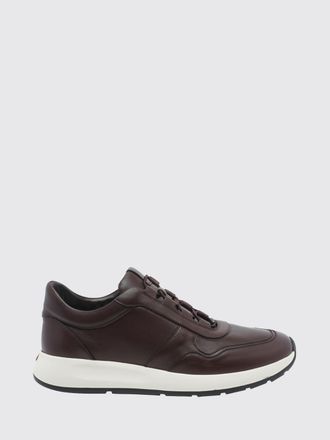 Tod's Sneakers Men color Brown