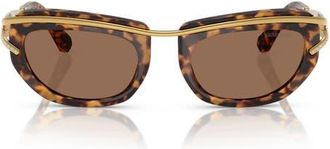 Swarovski 52mm Pillow Sunglasses in Lite Havana at Nordstrom