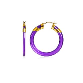 Gold & Honey Womens Classic Flat Lucite Birthstone Hoop Earrings In February - Amethyst