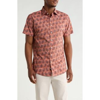 Rodd & Gunn Berkely Short Sleeve Cotton Button-Up Shirt in Terracotta at Nordstrom Rack, Size Xx-Large